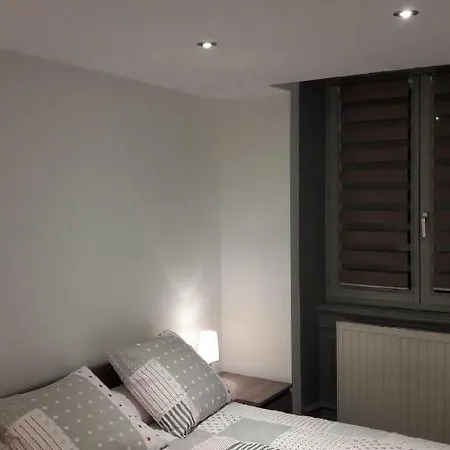 La Grenouillere Apartment Colmar Exterior photo