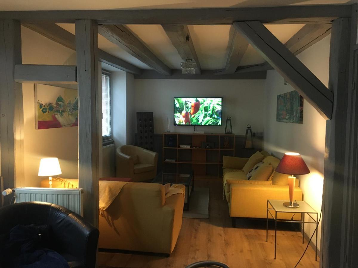 La Grenouillere Apartment Colmar